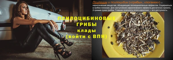 крисы Абинск