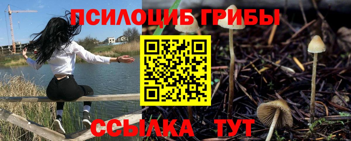 наркотики  Псилоцибиновые грибы мицелий  Вход с VPN  Татарск 